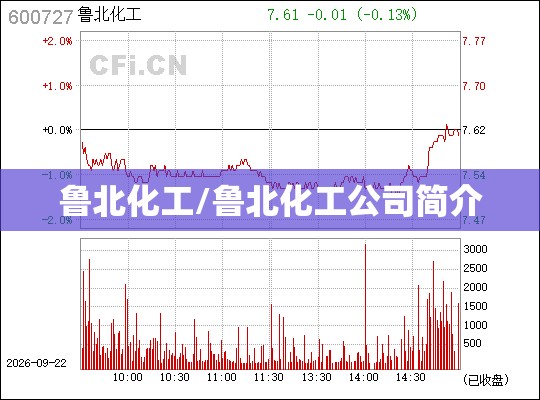 鲁北化工/鲁北化工公司简介