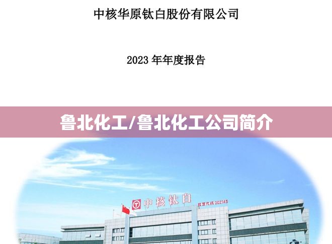 鲁北化工/鲁北化工公司简介