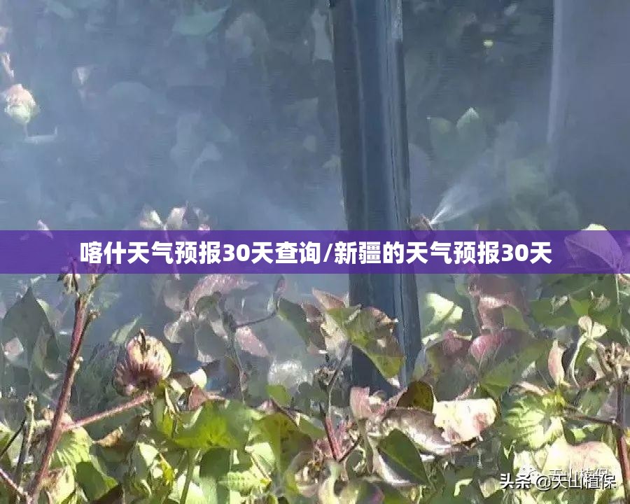喀什天气预报30天查询/新疆的天气预报30天