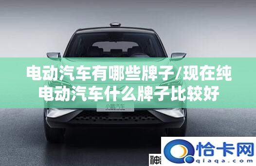 电动汽车有哪些牌子/现在纯电动汽车什么牌子比较好 电动汽车有哪些牌子/现在纯电动汽车什么牌子比较好