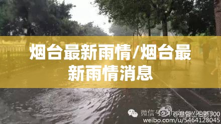 烟台最新雨情/烟台最新雨情消息 烟台最新雨情/烟台最新雨情消息