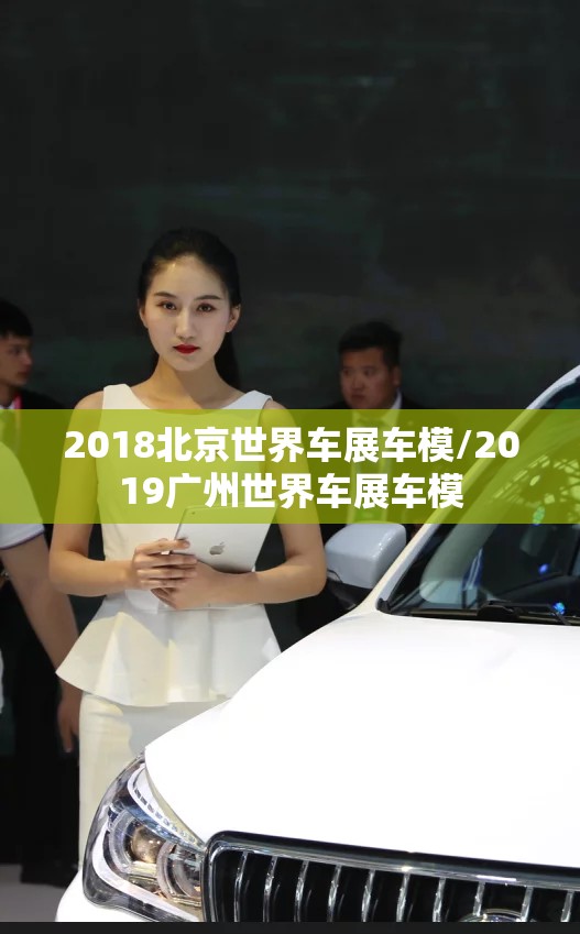 2018北京世界车展车模/2019广州世界车展车模