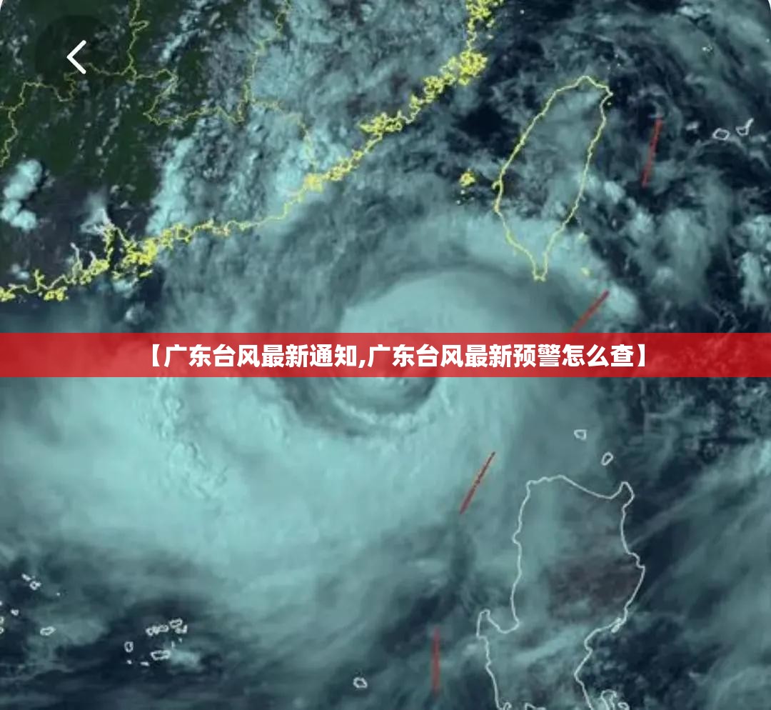 【广东台风最新通知,广东台风最新预警怎么查】