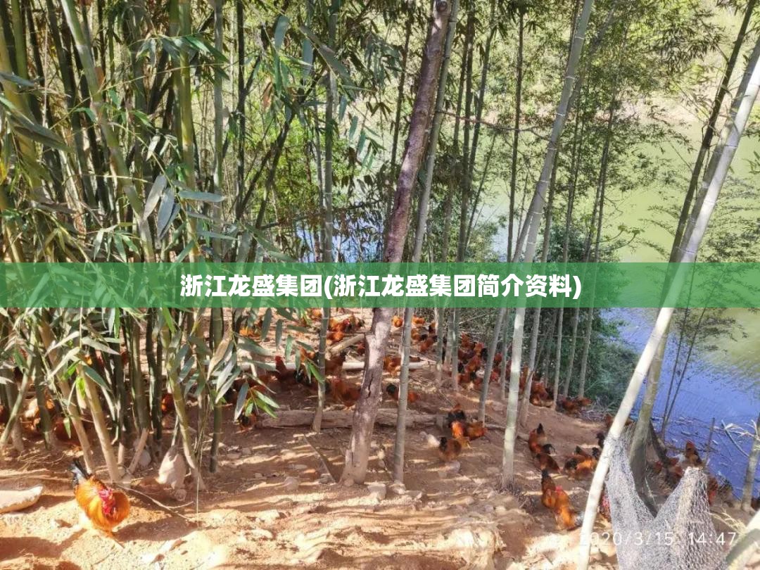 浙江龙盛集团(浙江龙盛集团简介资料)