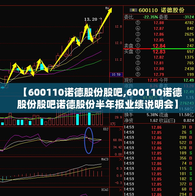 【600110诺德股份股吧,600110诺德股份股吧诺德股份半年报业绩说明会】 【600110诺德股份股吧,600110诺德股份股吧诺德股份半年报业绩说明会】