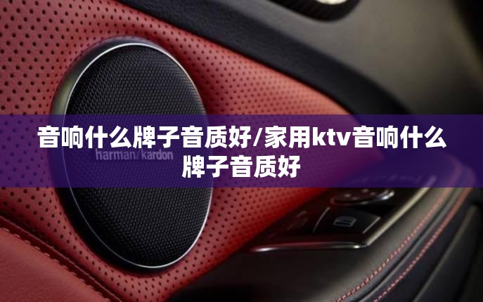 音响什么牌子音质好/家用ktv音响什么牌子音质好 音响什么牌子音质好/家用ktv音响什么牌子音质好