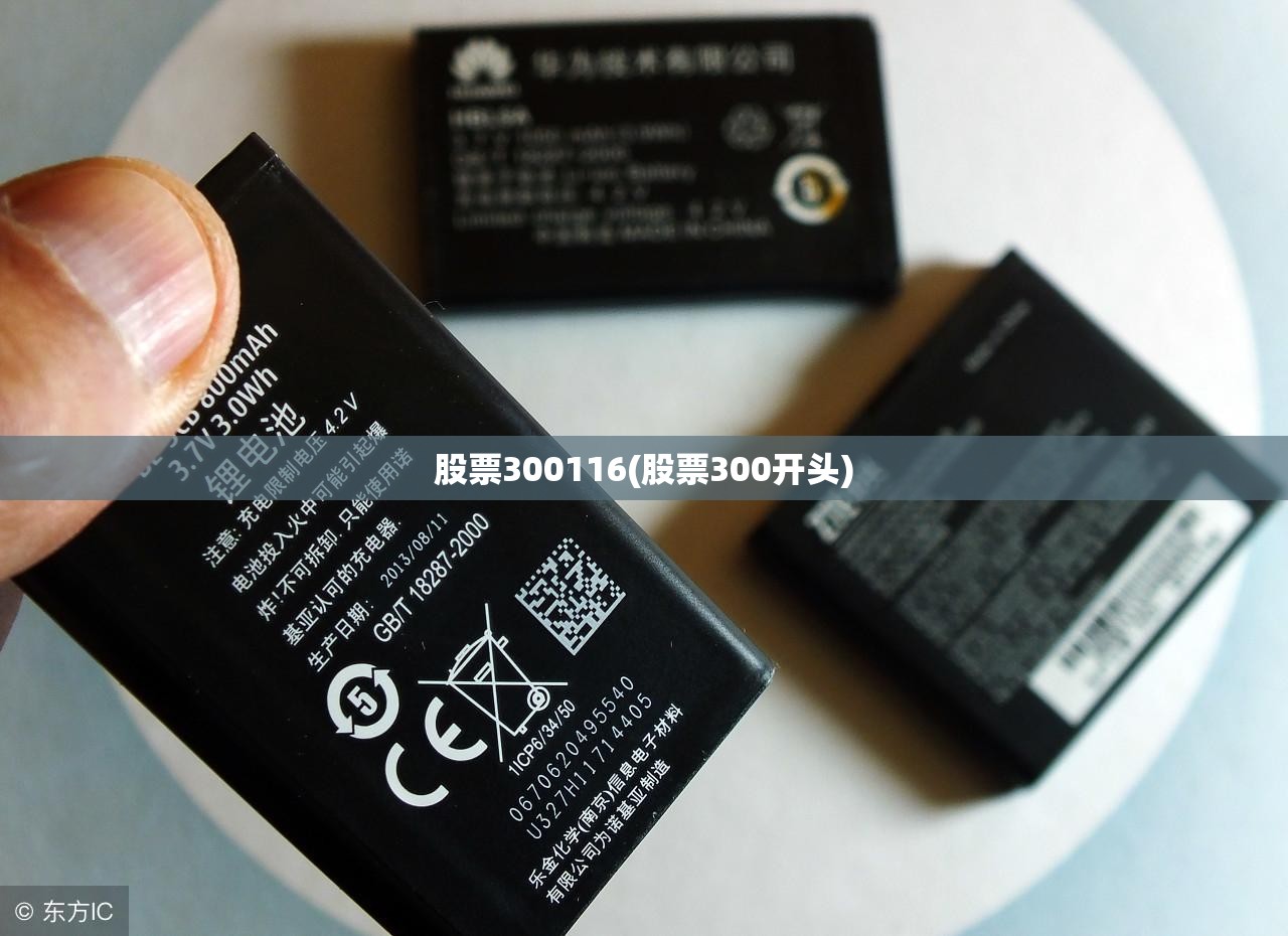 股票300116(股票300开头) 股票300116(股票300开头)