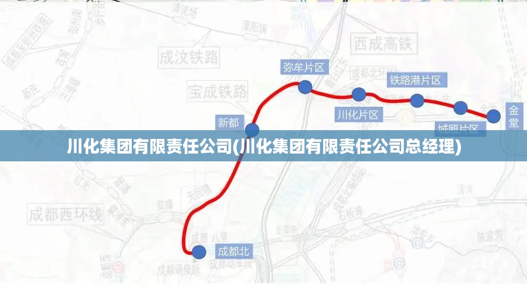 川化集团有限责任公司(川化集团有限责任公司总经理)
