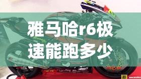 雅马哈r6极速能跑多少(雅马哈r6极速能跑多少公里啊)