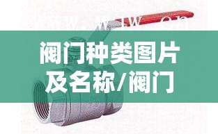 阀门种类图片及名称/阀门种类及视频介绍