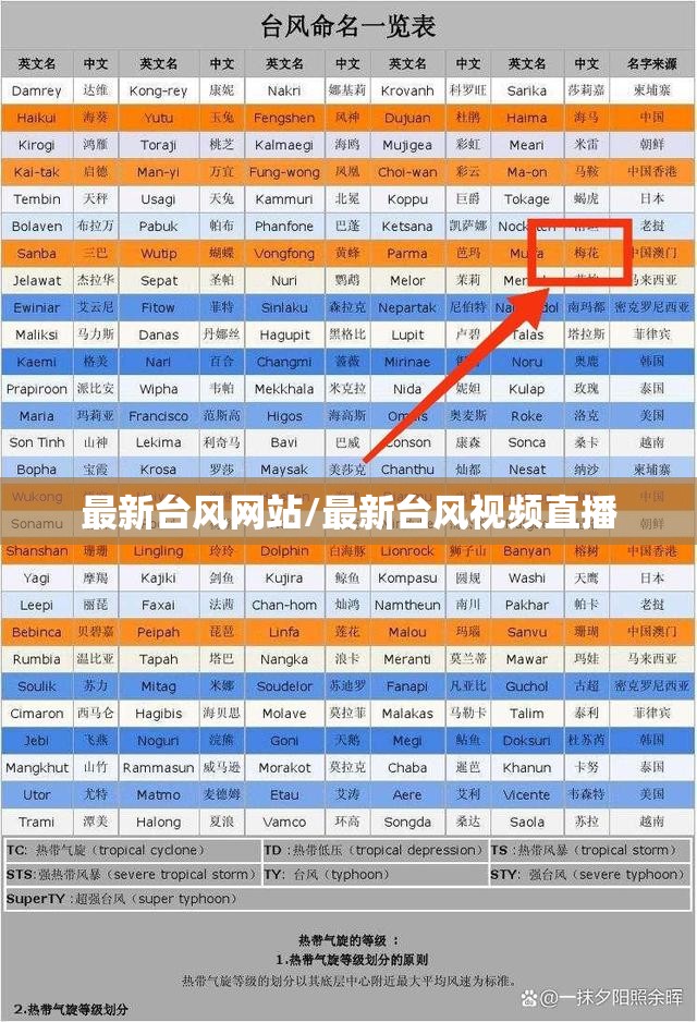 最新台风网站/最新台风视频直播 最新台风网站/最新台风视频直播