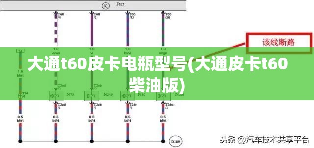 大通t60皮卡电瓶型号(大通皮卡t60柴油版) 大通t60皮卡电瓶型号(大通皮卡t60柴油版)