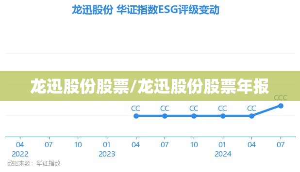 龙迅股份股票/龙迅股份股票年报