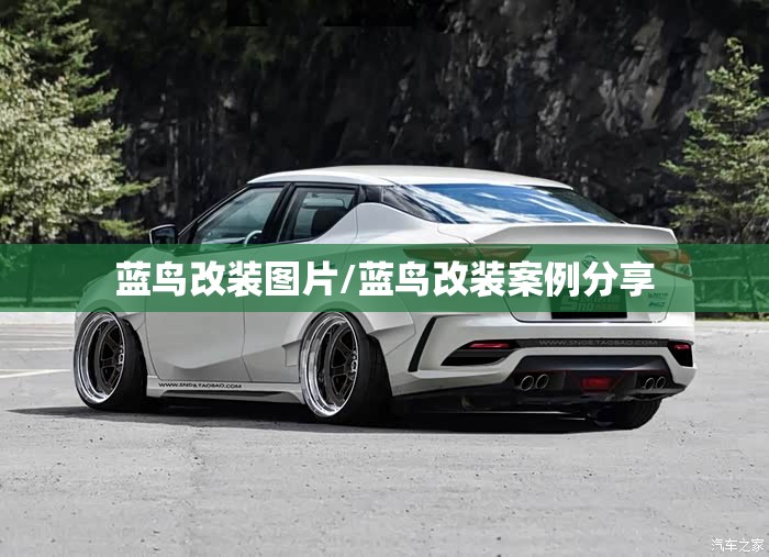 蓝鸟改装图片/蓝鸟改装案例分享 蓝鸟改装图片/蓝鸟改装案例分享