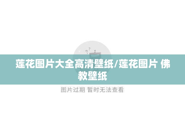 莲花图片大全高清壁纸/莲花图片 佛教壁纸