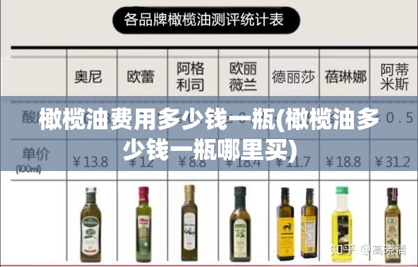 橄榄油费用多少钱一瓶(橄榄油多少钱一瓶哪里买)
