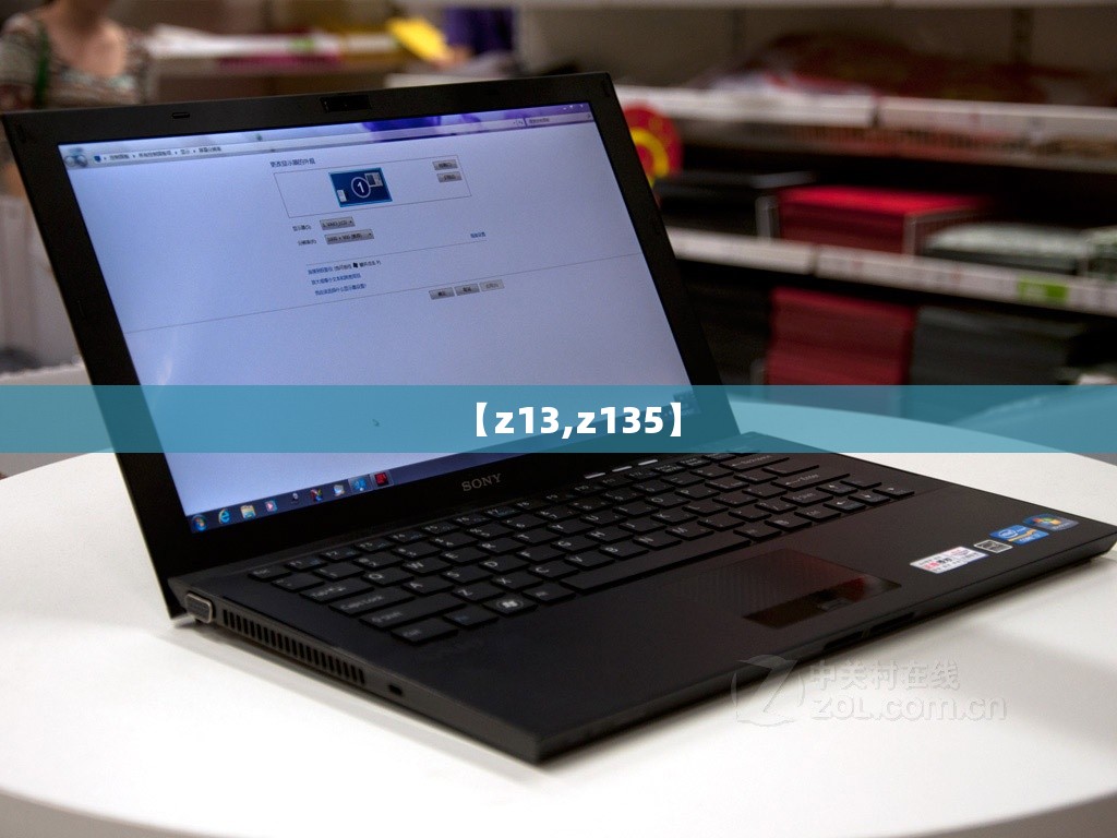 【z13,z135】