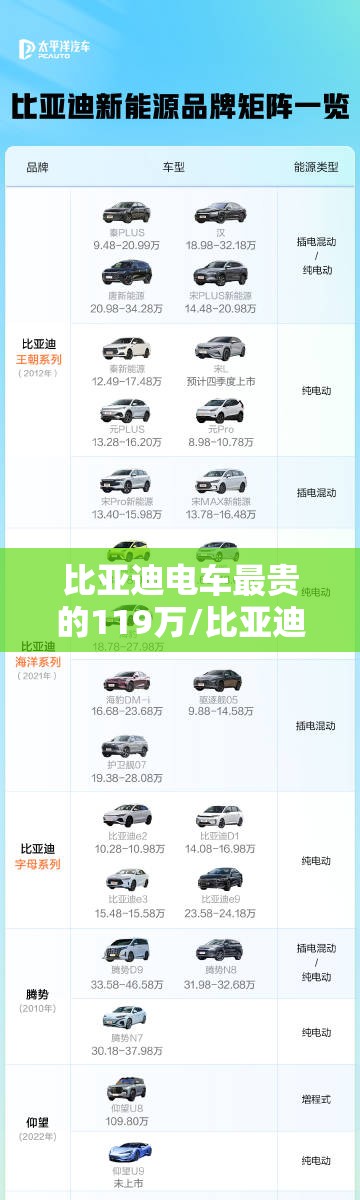 比亚迪电车最贵的119万/比亚迪最贵三个电车