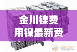 金川镍费用镍最新费用(金川镍板今天批发价) 金川镍费用镍最新费用(金川镍板今天批发价)