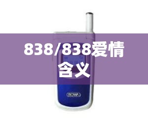 838/838爱情含义