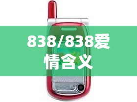 838/838爱情含义