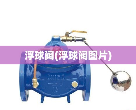 浮球阀(浮球阀图片)