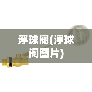 浮球阀(浮球阀图片)