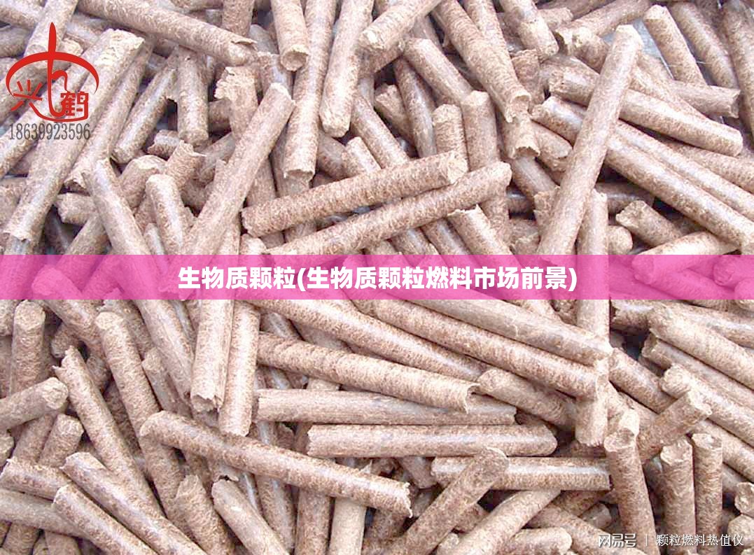 生物质颗粒(生物质颗粒燃料市场前景)