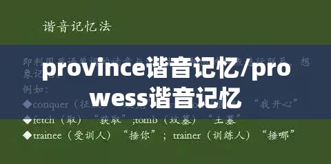 province谐音记忆/prowess谐音记忆