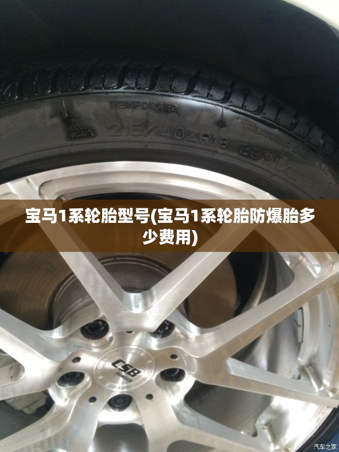 宝马1系轮胎型号(宝马1系轮胎防爆胎多少费用)