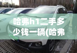 哈弗h1二手多少钱一辆(哈弗h116年二手多少钱) 哈弗h1二手多少钱一辆(哈弗h116年二手多少钱)