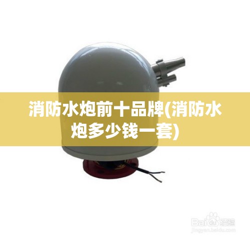 消防水炮前十品牌(消防水炮多少钱一套) 消防水炮前十品牌(消防水炮多少钱一套)