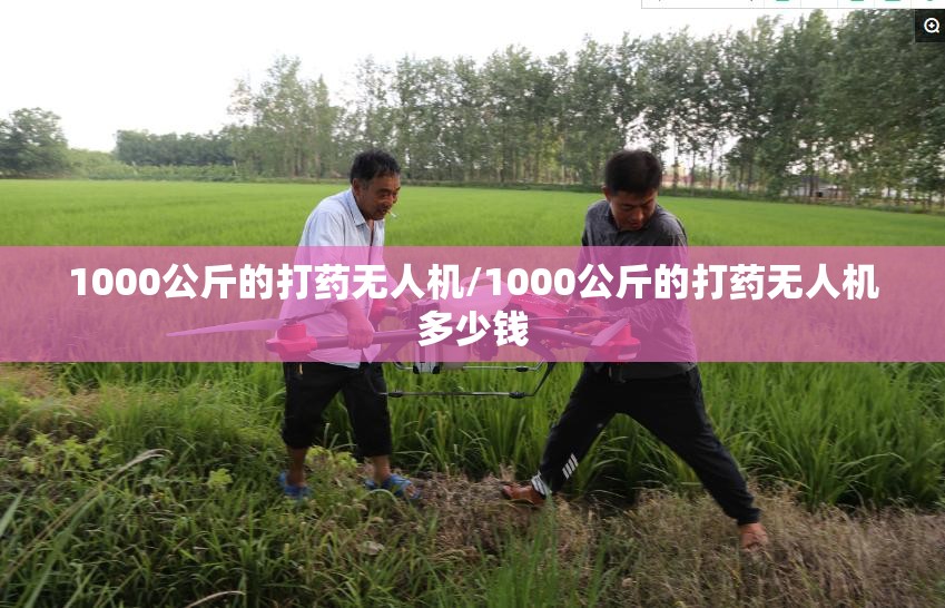 1000公斤的打药无人机/1000公斤的打药无人机多少钱 1000公斤的打药无人机/1000公斤的打药无人机多少钱