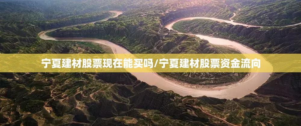 宁夏建材股票现在能买吗/宁夏建材股票资金流向
