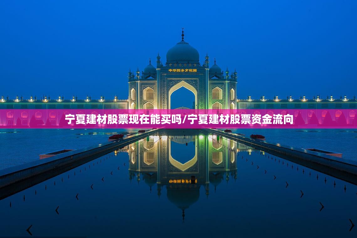 宁夏建材股票现在能买吗/宁夏建材股票资金流向