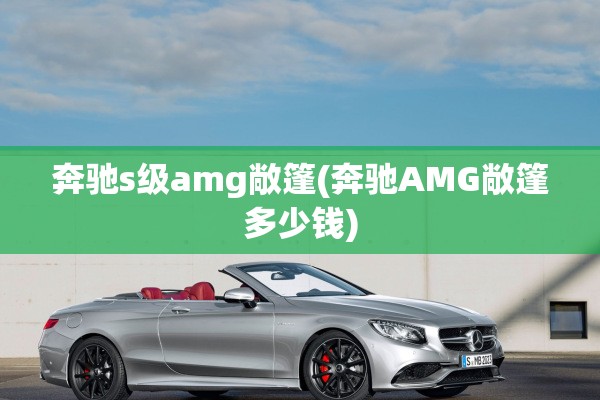 奔驰s级amg敞篷(奔驰AMG敞篷多少钱)