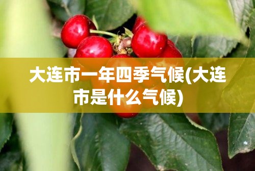 大连市一年四季气候(大连市是什么气候)