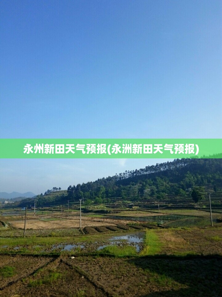 永州新田天气预报(永洲新田天气预报)