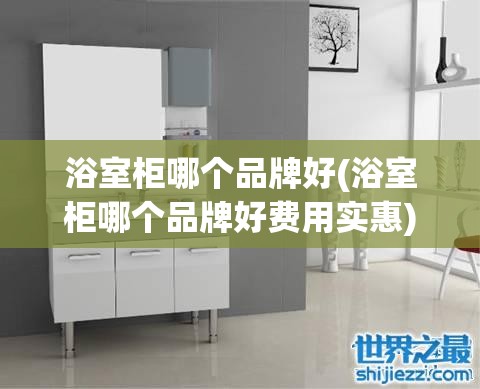 浴室柜哪个品牌好(浴室柜哪个品牌好费用实惠)