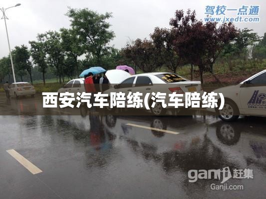 西安汽车陪练(汽车陪练)