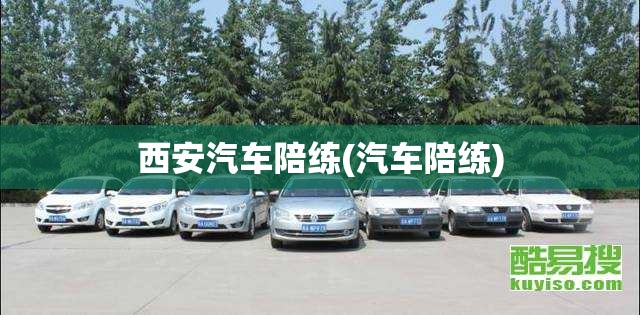 西安汽车陪练(汽车陪练)