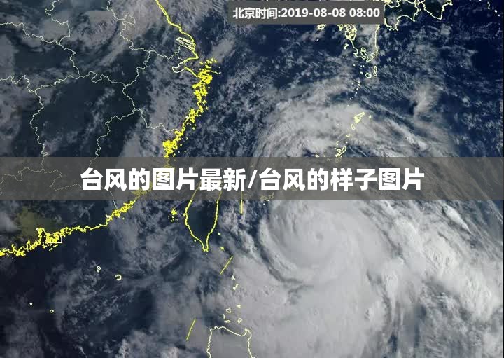 台风的图片最新/台风的样子图片