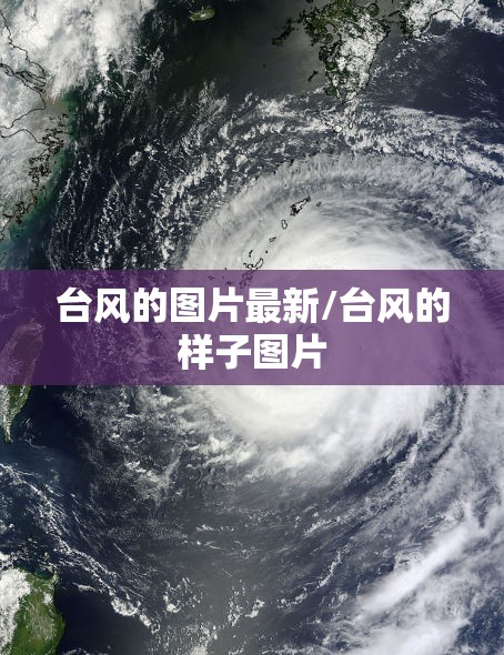 台风的图片最新/台风的样子图片
