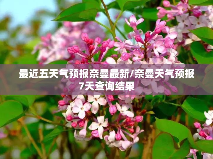 最近五天气预报奈曼最新/奈曼天气预报7天查询结果