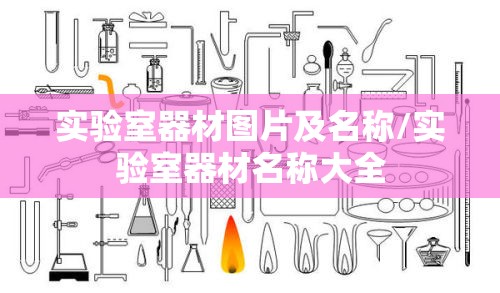 实验室器材图片及名称/实验室器材名称大全