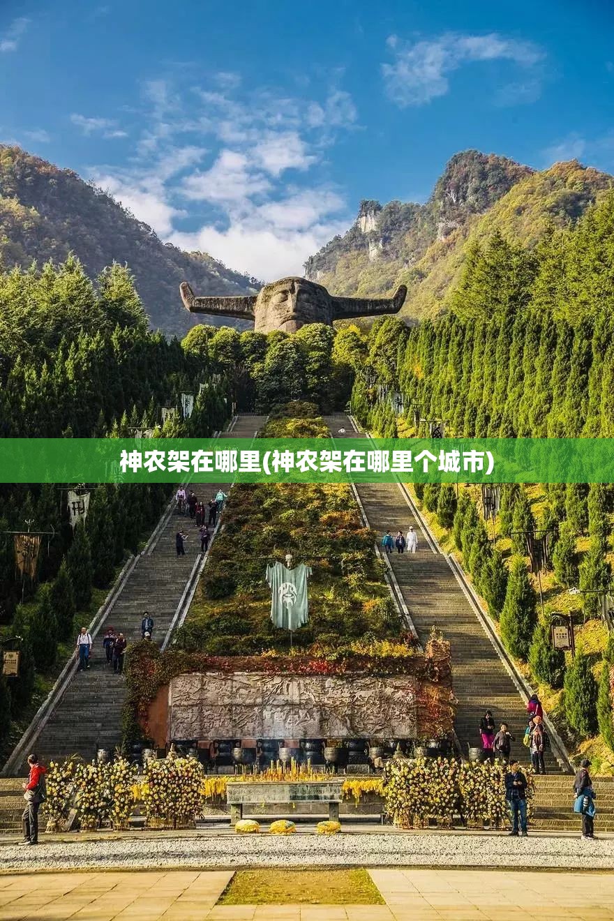 神农架在哪里(神农架在哪里个城市)