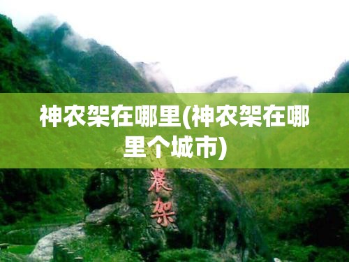 神农架在哪里(神农架在哪里个城市)
