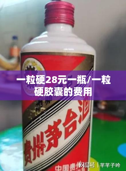 一粒硬28元一瓶/一粒硬胶囊的费用
