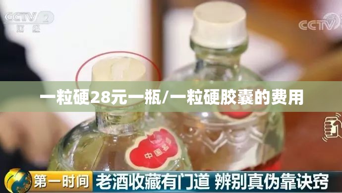 一粒硬28元一瓶/一粒硬胶囊的费用