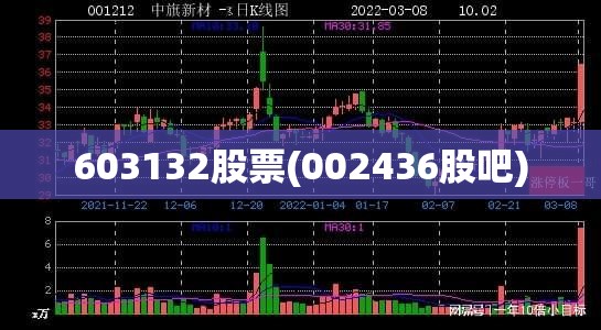 603132股票(002436股吧)